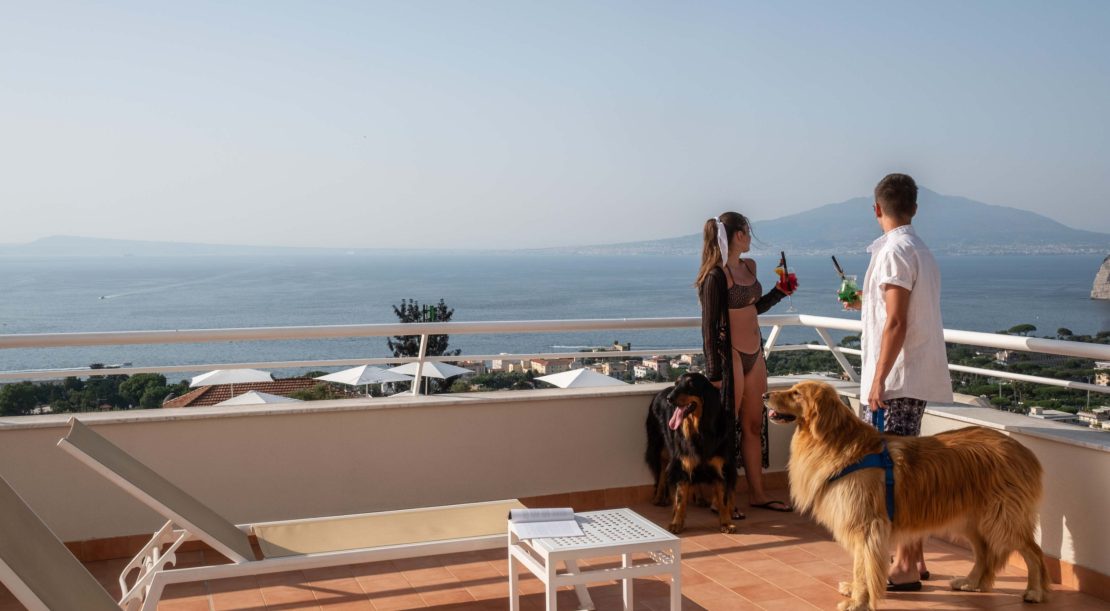 Art Hotel Gran Paradiso pet friendly